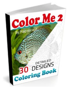 Color Me 2 (Coloring Book)