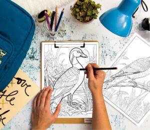 Two adult hands holding a colored pencil, preparing to color two detailed coloring pages—one of a wild duck and the other of a bird perched on a branch.