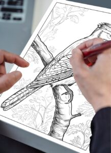 An adult’s hand holding a coloring pen, coloring a detailed coloring page of a blue jay sitting on a branch. The intricate design captures the vibrant details of the bird and its natural surroundings.