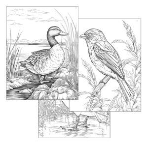 Three detailed coloring pages featuring wild birds in their natural habitats. Two pages depict ducks in various poses, and one shows a sparrow perched on a branch, all set against scenic backdrops that highlight the birds' natural environments.