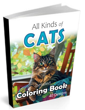 All Kinds Of Cats (e Book Cover) Small