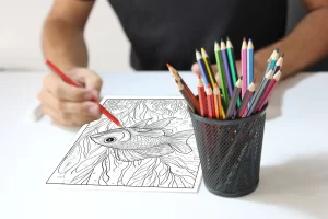 Website 5 (small)