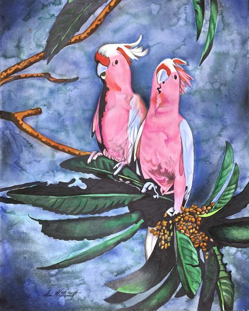 Cockatoo Couple [Download] (8X10)