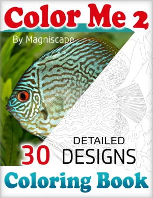 Color me 2 (cover page)